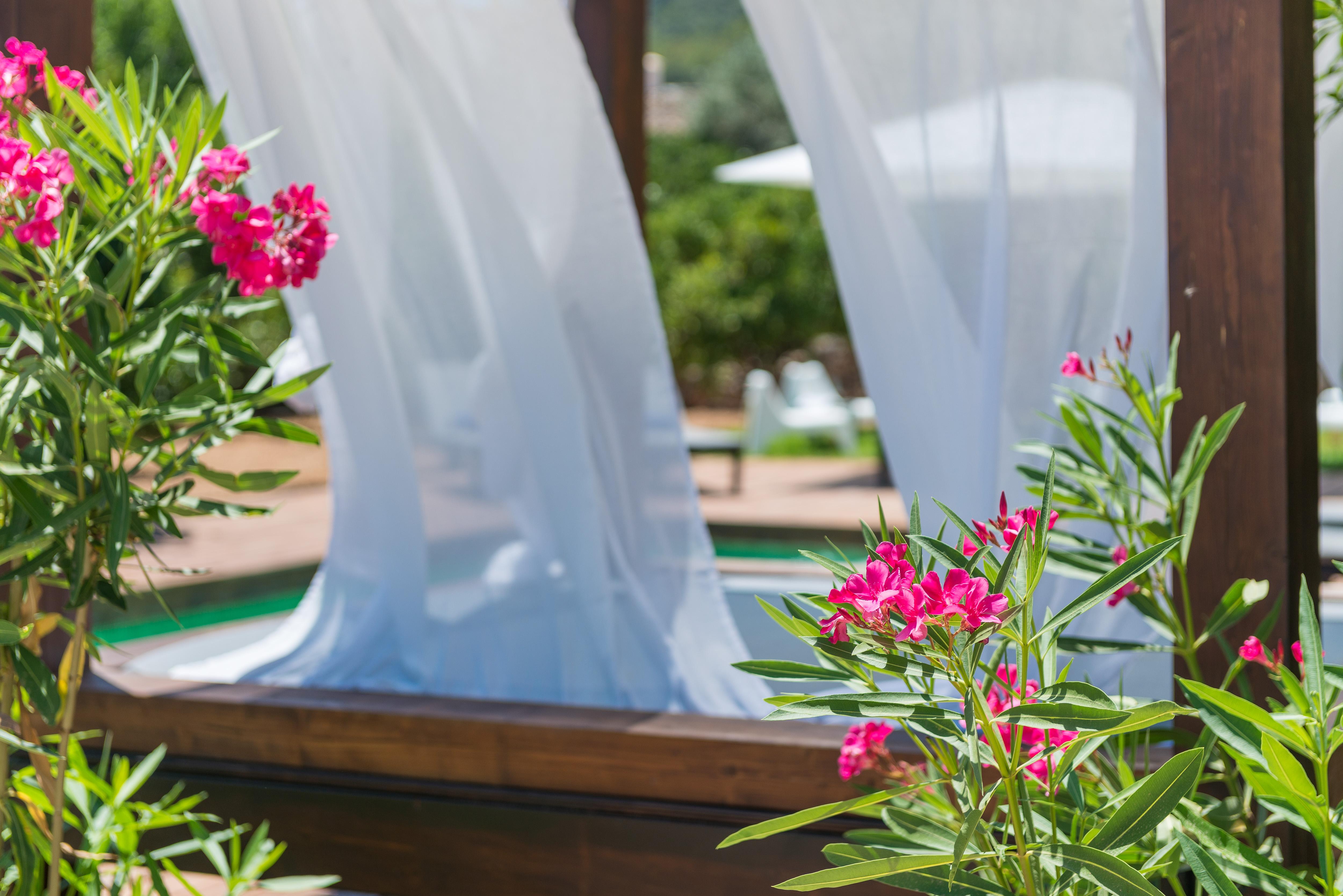Hotel Turixant Mancor del Valle Екстер'єр фото